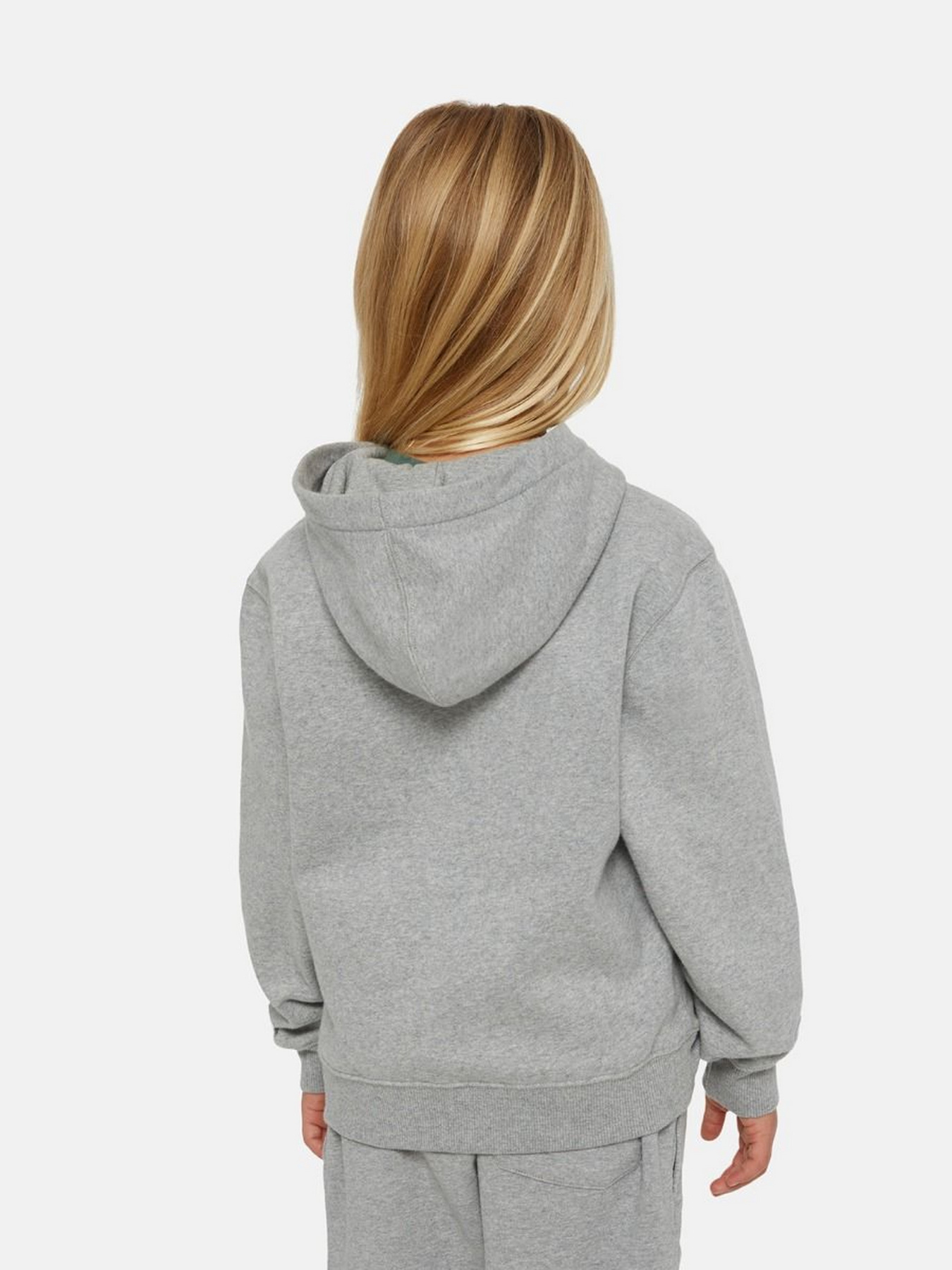 Худі Dickies Icon Logo модель DK0KWR270H21 Худі Dickies Icon Logo модель DK0KWR270H21 Фото