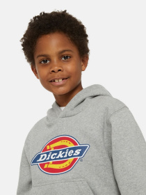 Худі Dickies Icon Logo модель DK0KWR270H21 Худі Dickies Icon Logo модель DK0KWR270H21 Фото