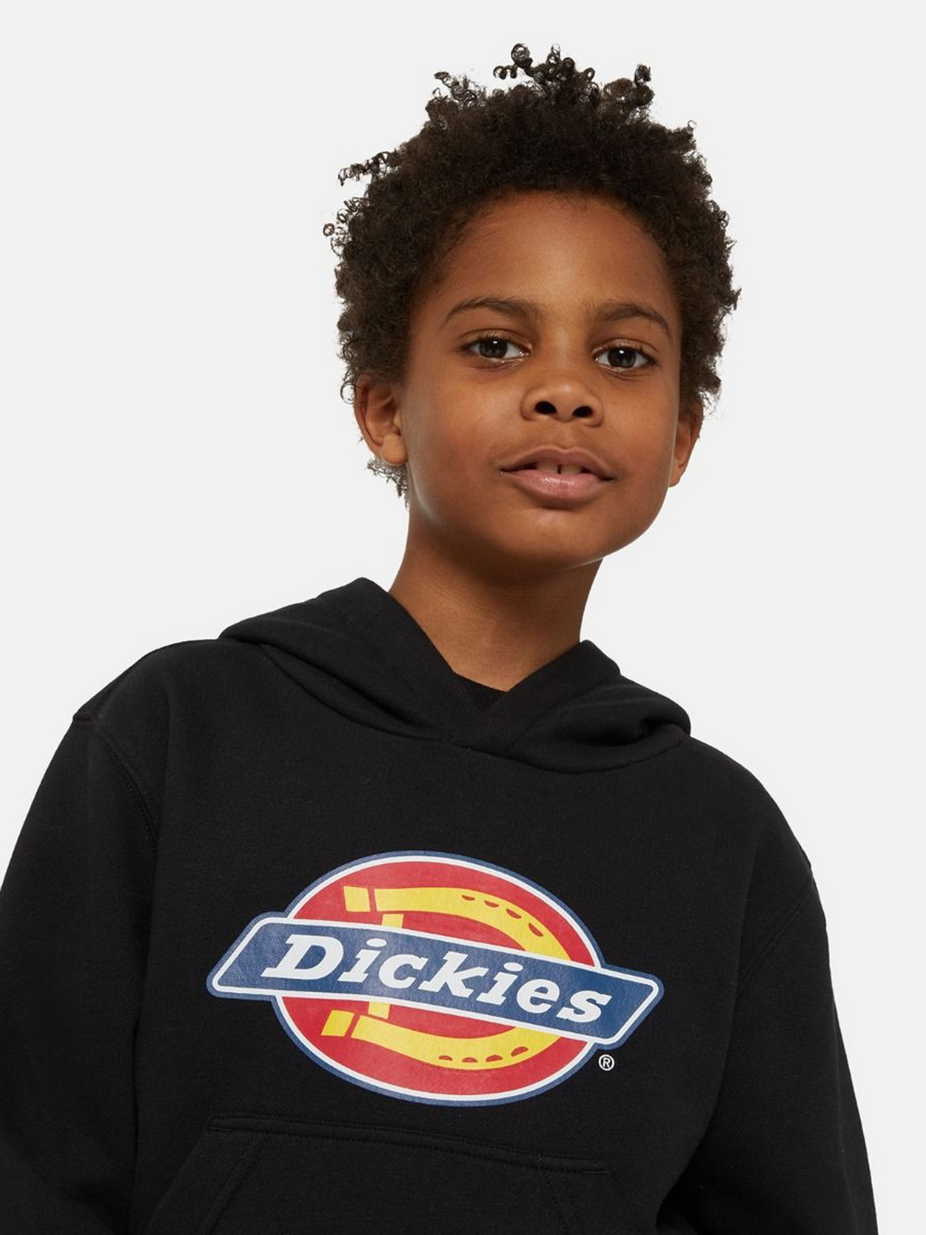 Худі Dickies Icon Logo модель DK0KWR27KBK1 Фото