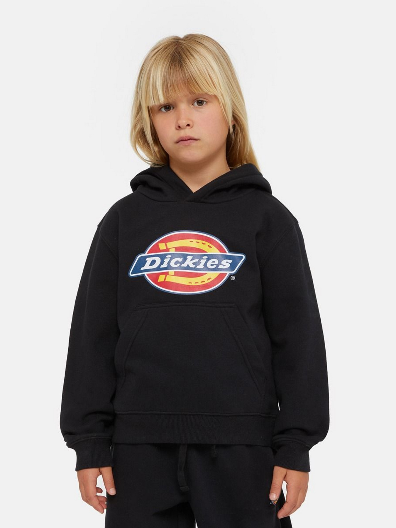 Худі Dickies Icon Logo модель DK0KWR27KBK1 Фото