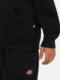 Худі Dickies Icon Logo модель DK0KWR27KBK1 Фото