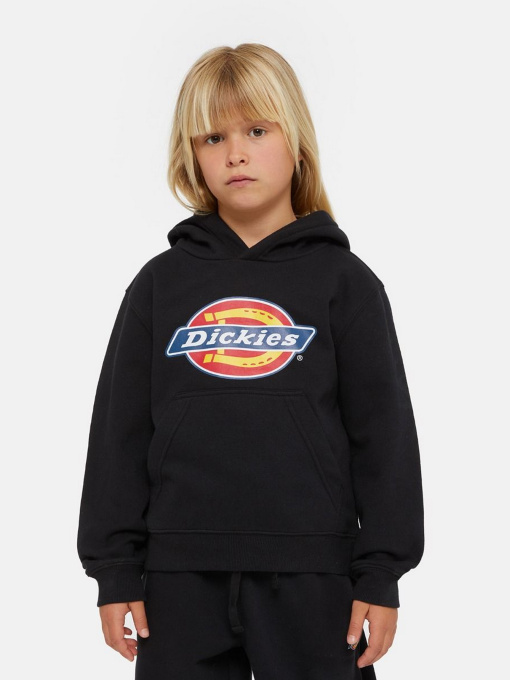 Худи Dickies Icon Logo модель DK0KWR27KBK1 Фото