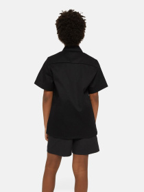 Рубашка Dickies Work модель DK0QS201DCK1 Фото