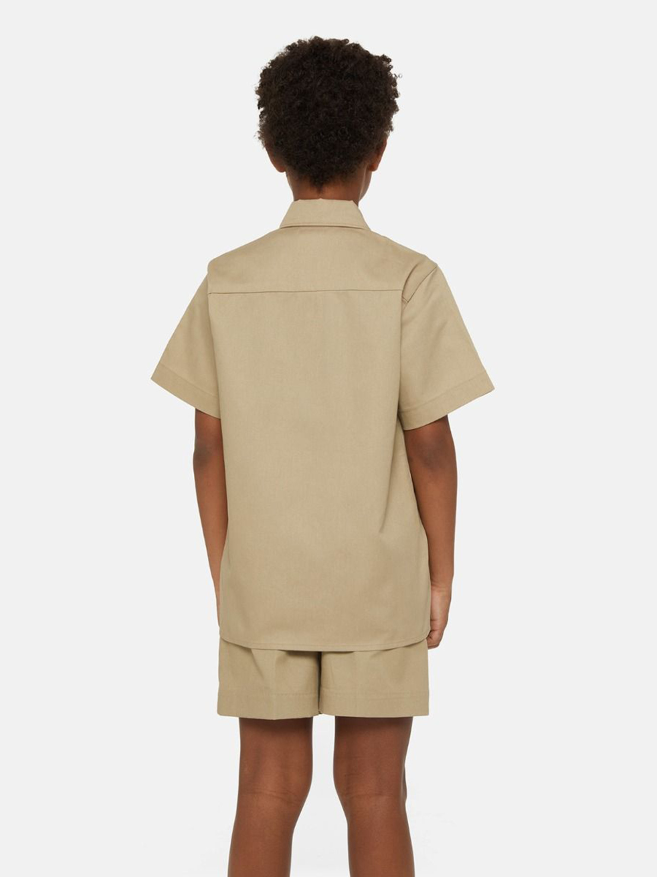 Рубашка Dickies Work модель DK0QS201DSR1 Фото