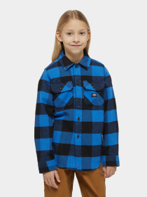 Сорочка Dickies Kids Sacramento Модель DK0A4Z3UJ531 Фото