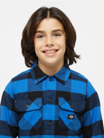 Рубашка повседневная Dickies Kids Sacramento модель DK0A4Z3UJ531 Рубашка повседневная Dickies Kids Sacramento модель DK0A4Z3UJ531 Фото