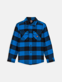 Рубашка повседневная Dickies Kids Sacramento модель DK0A4Z3UJ531 Рубашка повседневная Dickies Kids Sacramento модель DK0A4Z3UJ531 Фото