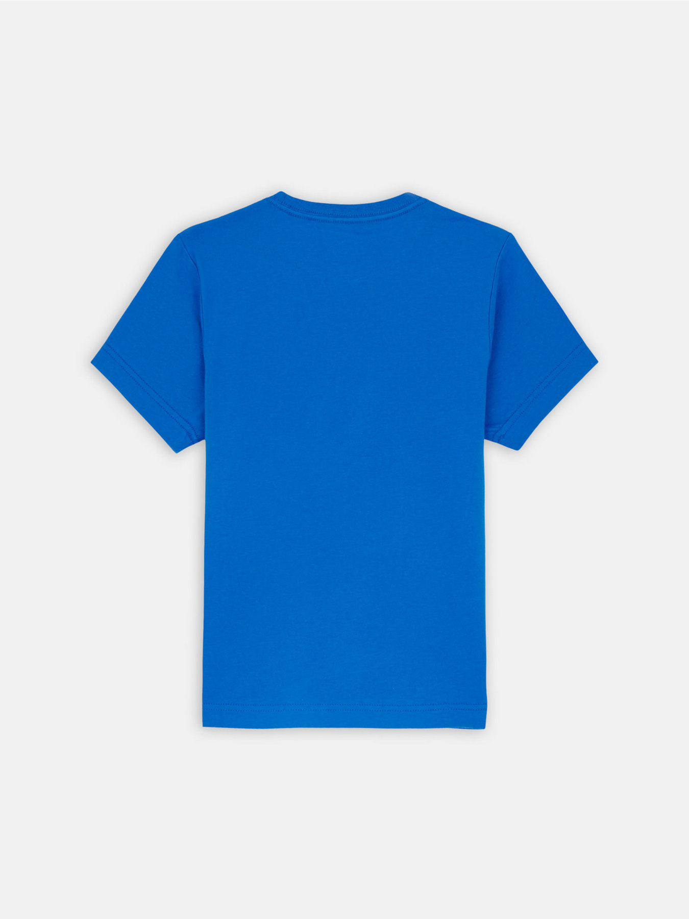 Футболка Dickies Youth Mapleton модель DK0KSR64J531 Фото