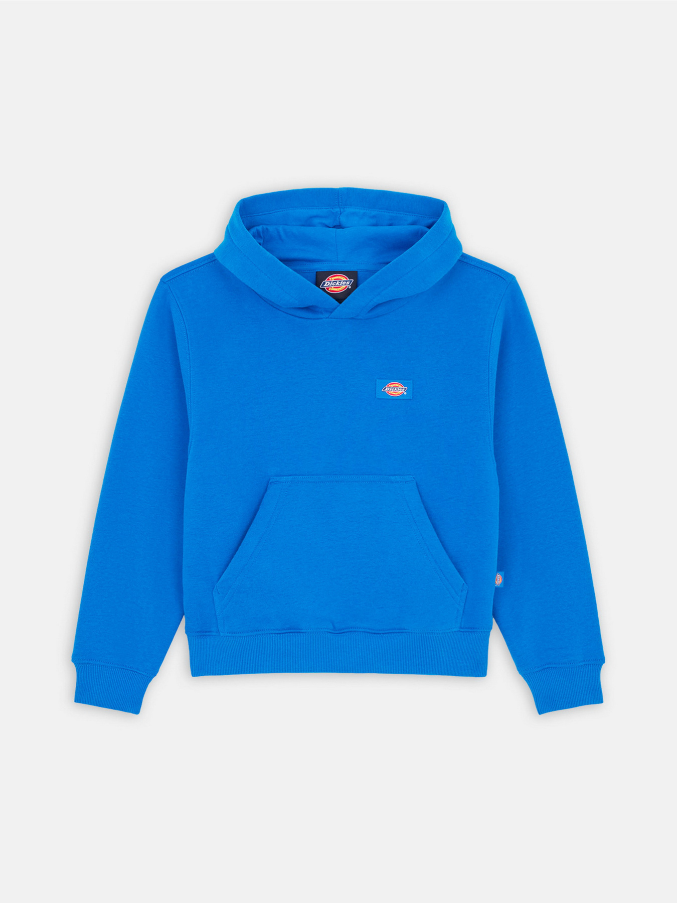 Худи Dickies Youth Oakport модель DK0KWR12J531 Фото