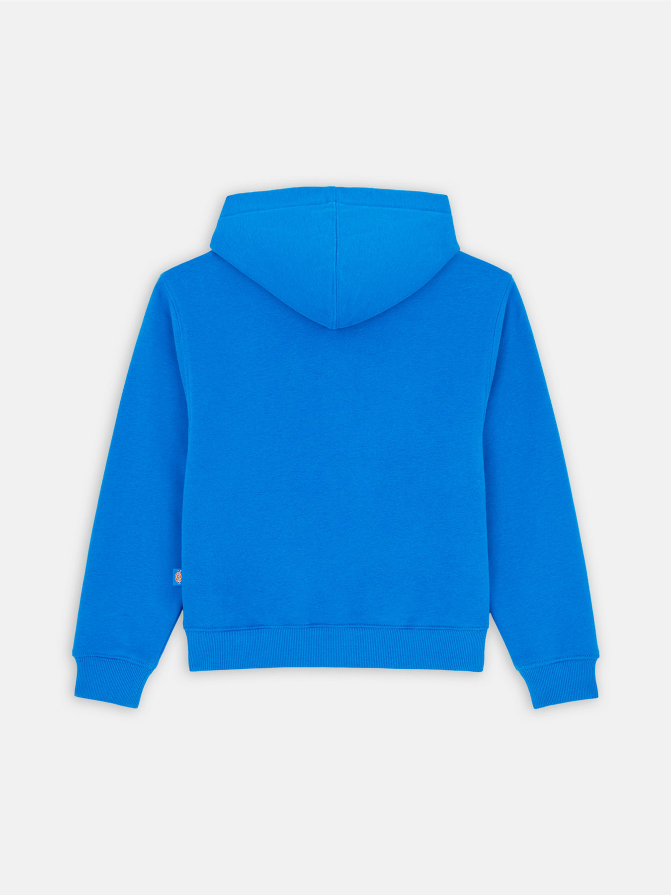 Худи Dickies Youth Oakport модель DK0KWR12J531 Фото