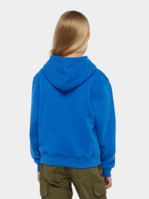 Худи Dickies Youth Oakport модель DK0KWR12J531 Фото