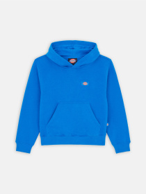 Худи Dickies Youth Oakport модель DK0KWR12J531 Фото