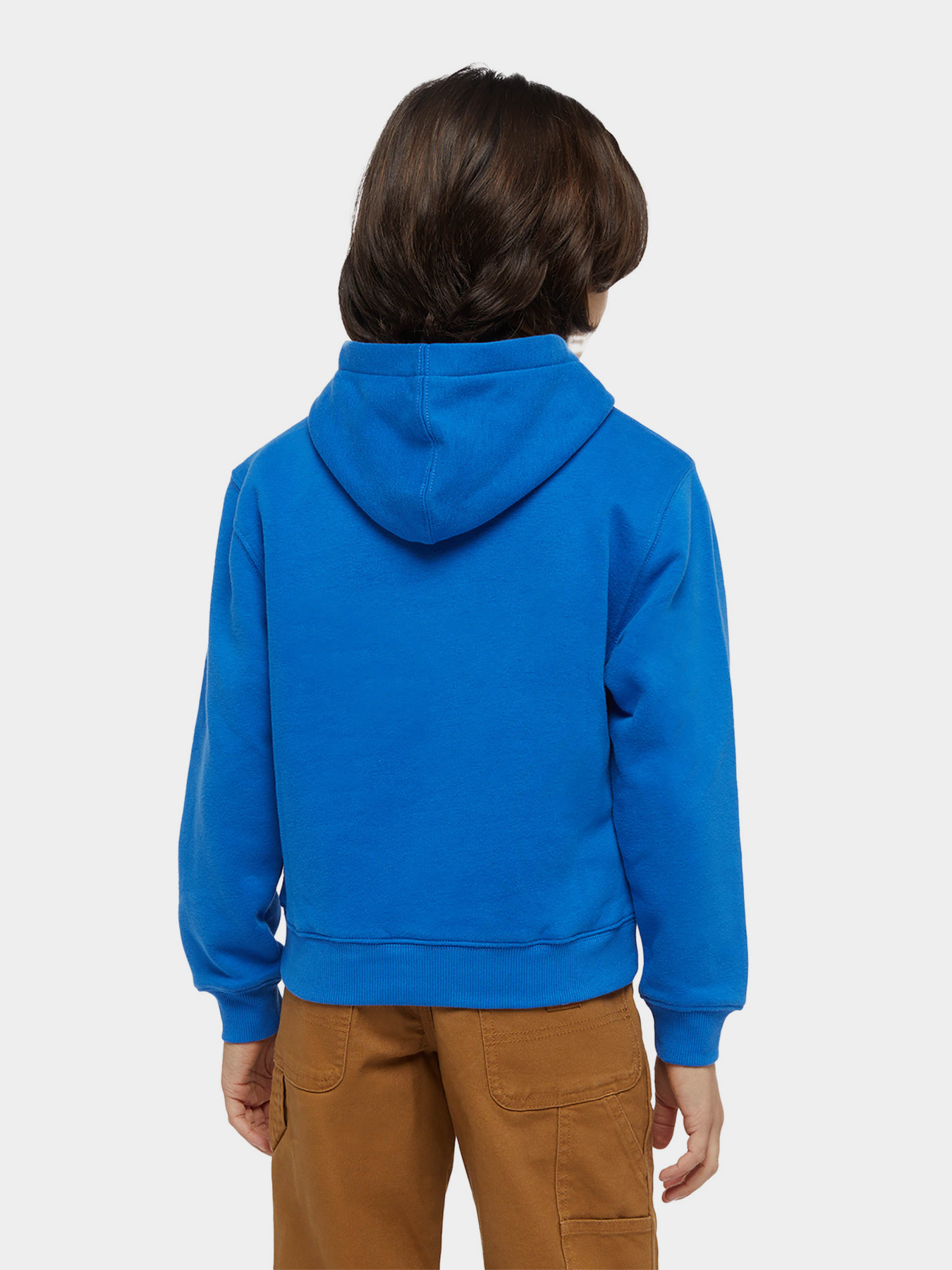 Худі Dickies Youth Oakport модель DK0KWR12J531 Фото