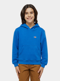 Худі Dickies Youth Oakport модель DK0KWR12J531 Фото
