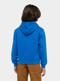 Худі Dickies Youth Oakport модель DK0KWR12J531 Фото