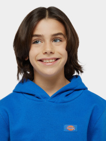 Худі Dickies Youth Oakport модель DK0KWR12J531 Фото