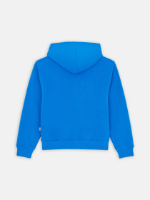 Худі Dickies Youth Oakport модель DK0KWR12J531 Фото