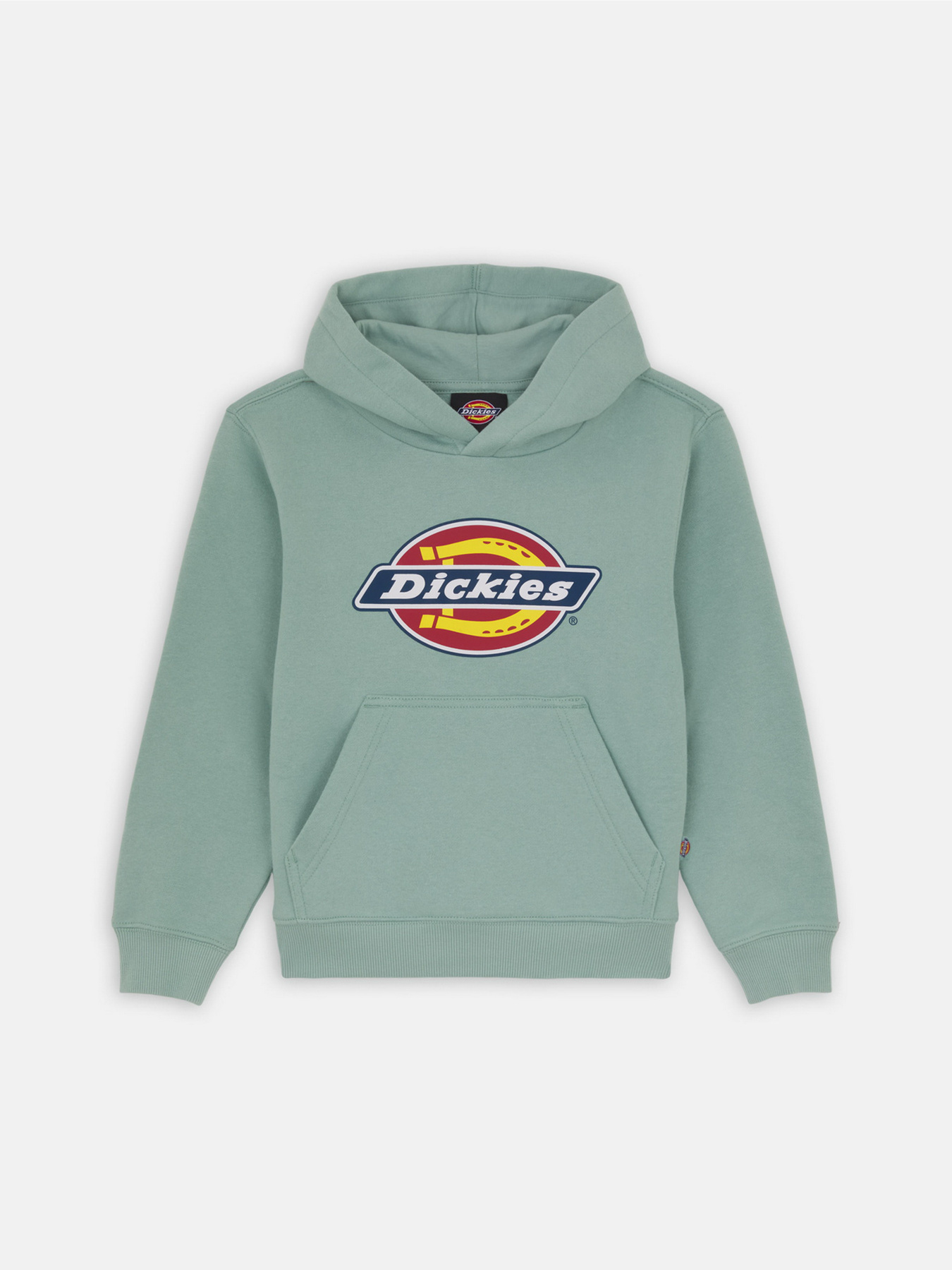 Худи Dickies Youth Logo модель DK0KWR27J591 Фото