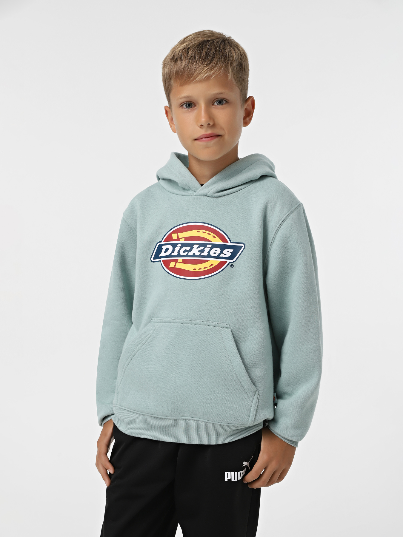 Худи Dickies Youth Logo модель DK0KWR27J591 Фото