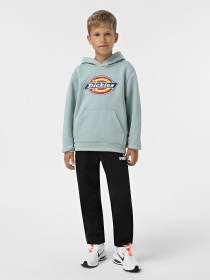 Худи Dickies Youth Logo модель DK0KWR27J591 Фото