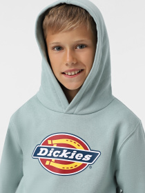 Худи Dickies Youth Logo модель DK0KWR27J591 Фото