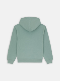 Худи Dickies Youth Logo модель DK0KWR27J591 Фото