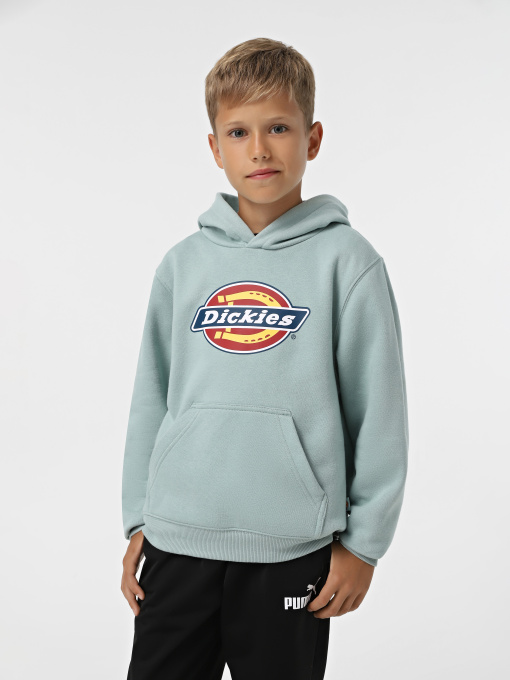 Худи Dickies Youth Logo модель DK0KWR27J591 Фото