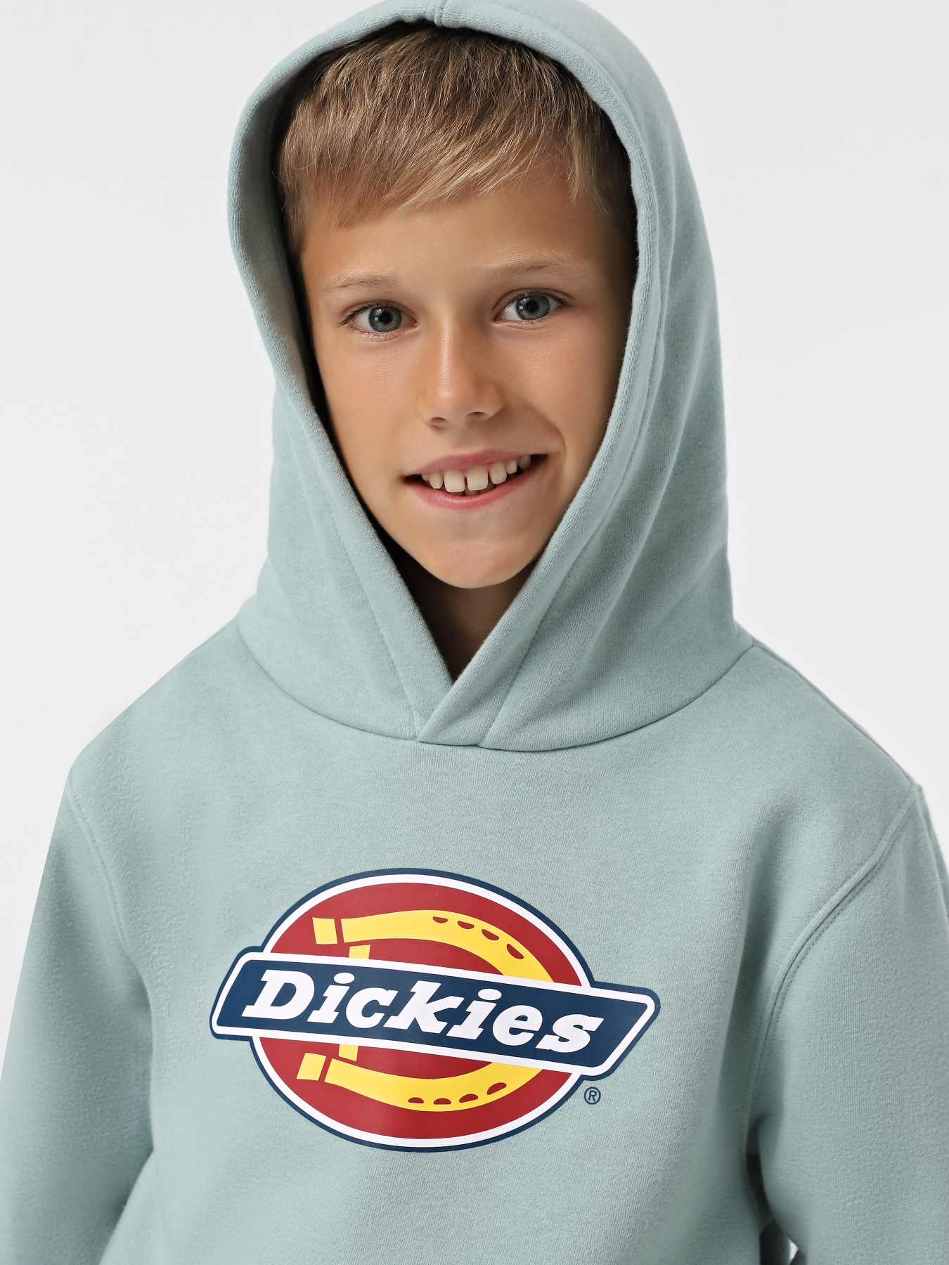 Худі Dickies Youth Logo модель DK0KWR27J591 Худі Dickies Youth Logo модель DK0KWR27J591 Фото