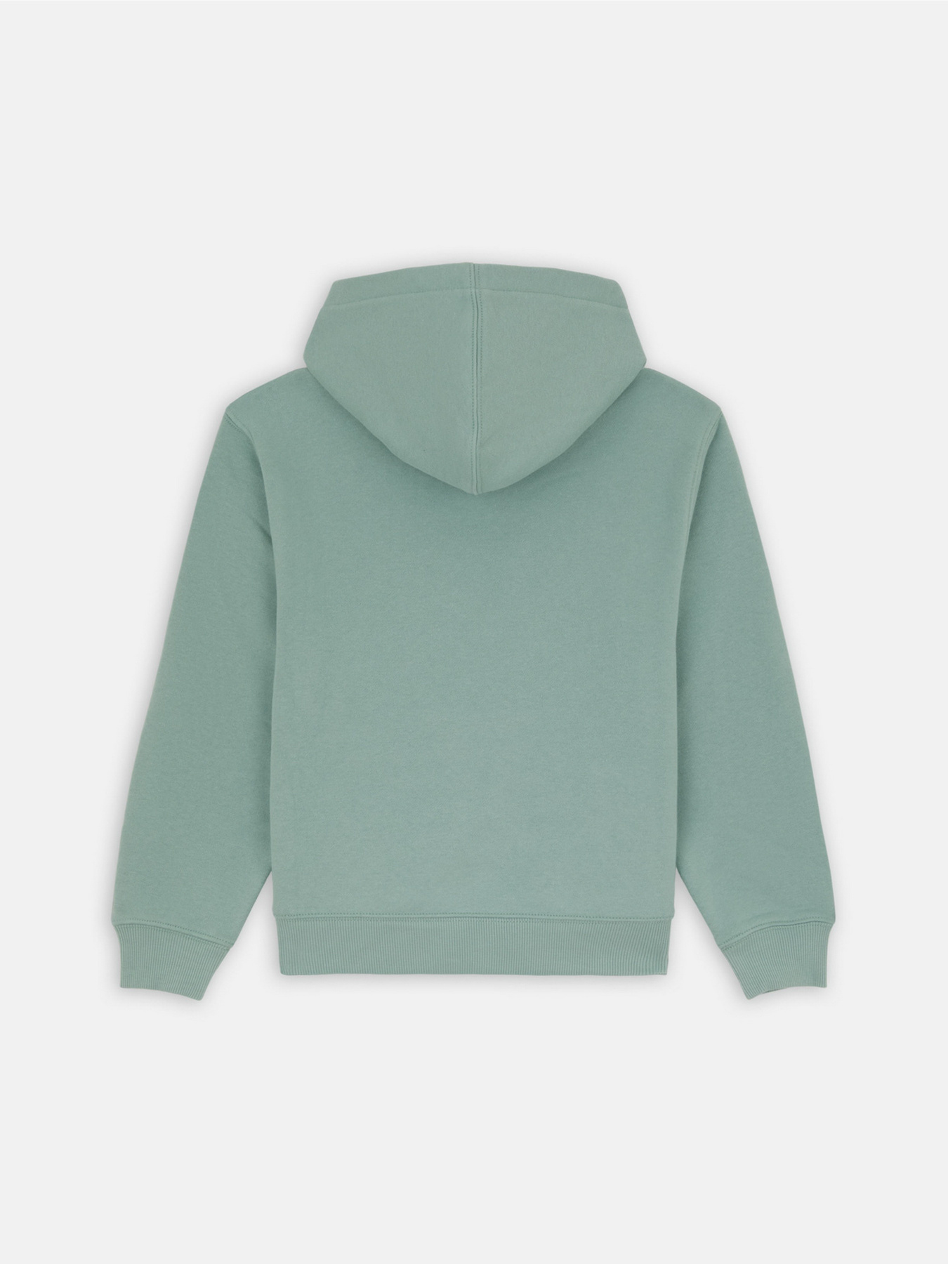 Худі Dickies Youth Logo модель DK0KWR27J591 Худі Dickies Youth Logo модель DK0KWR27J591 Фото