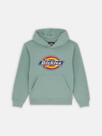 Худі Dickies Youth Logo модель DK0KWR27J591 Худі Dickies Youth Logo модель DK0KWR27J591 Фото