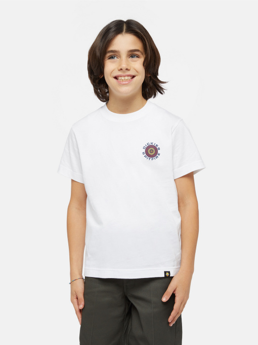 Футболка Dickies x Spitfire Модель DK0A86650WH1 Фото