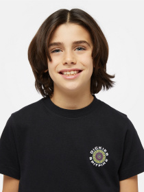 Футболка Dickies x Spitfire модель DK0A8665BLK1 Фото