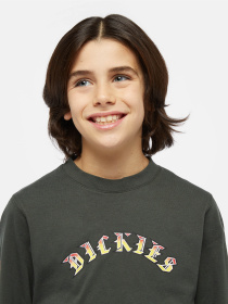 Лонгслив Dickies x Spitfire модель DK0A86660OG1 Фото