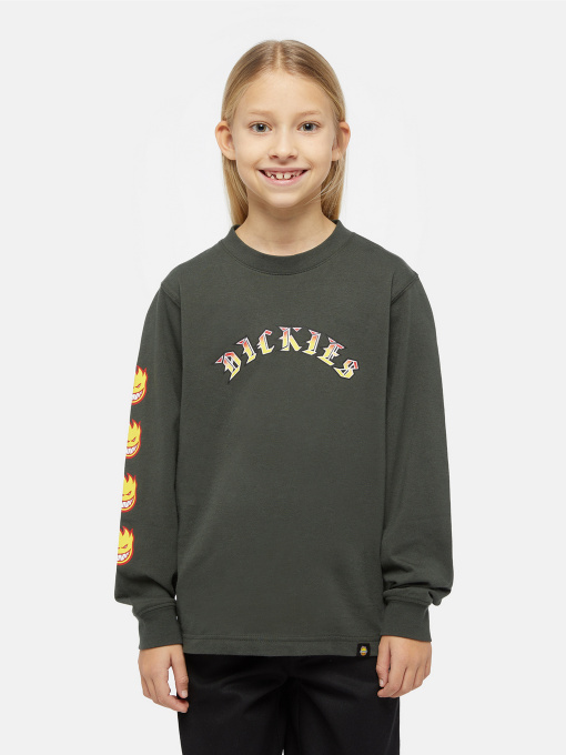 Худі та світшоти Dickies x Spitfire модель DK0A86660OG1 Фото