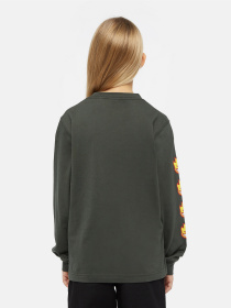 Лонгслів Dickies x Spitfire модель DK0A86660OG1 Фото