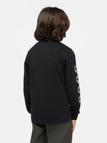 Лонгслив Dickies x Spitfire модель DK0A8666BLK1 Фото