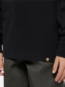 Лонгслив Dickies x Spitfire модель DK0A8666BLK1 Фото