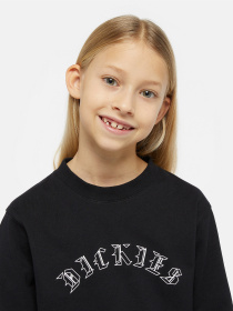 Лонгслив Dickies x Spitfire модель DK0A8666BLK1 Фото