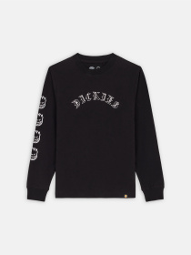 Лонгслів Dickies x Spitfire модель DK0A8666BLK1 Фото