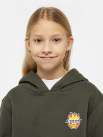 Худі Dickies x Spitfire модель DK0A86670OG1 Фото