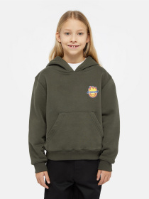 Худі Dickies x Spitfire модель DK0A86670OG1 Фото