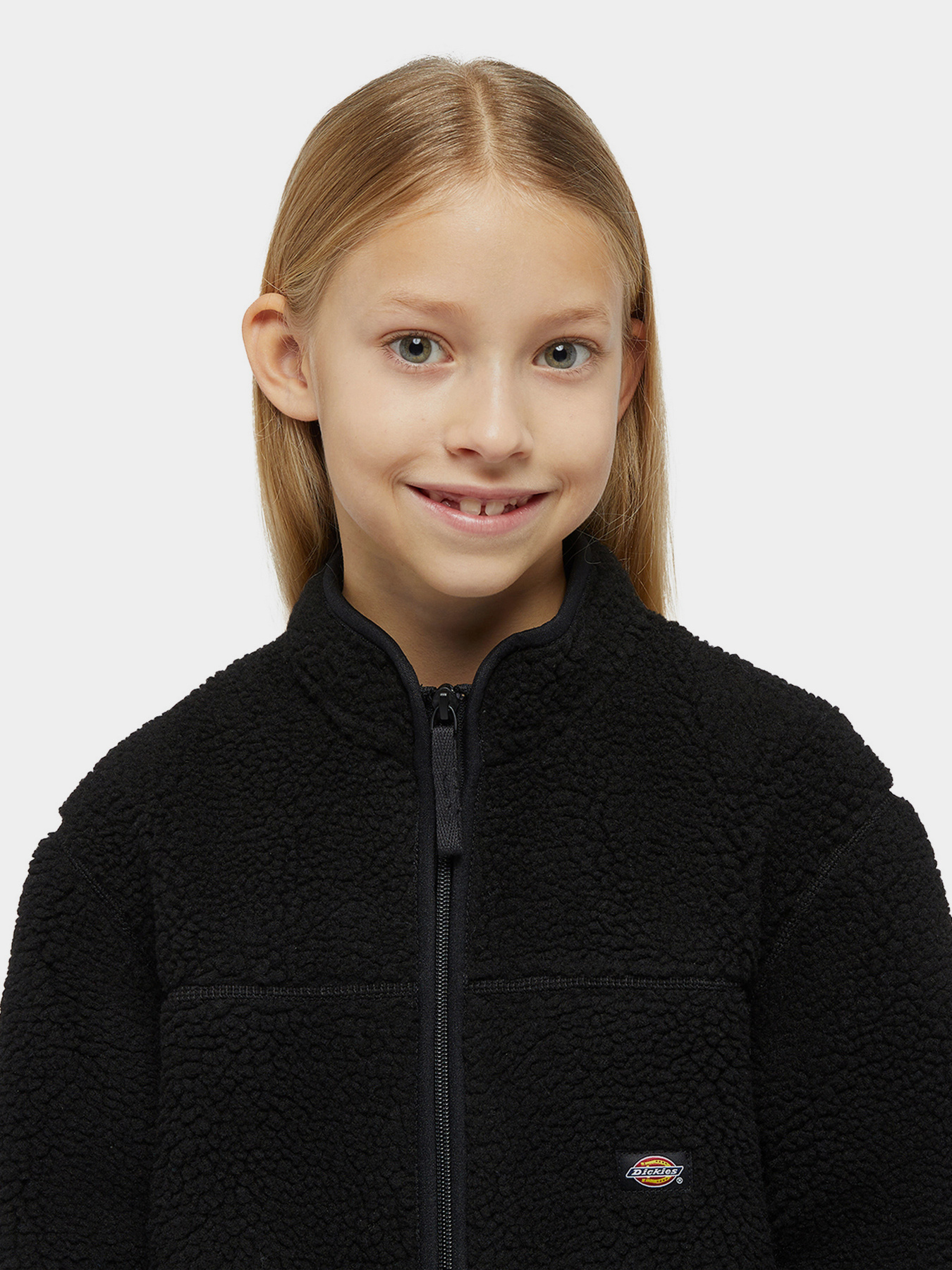 Кофта Dickies Mount Hope Fleece модель DK0A4Z3TBLK1 Фото