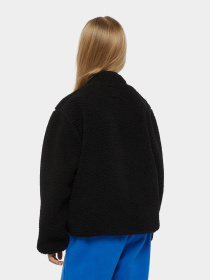 Кофта Dickies Mount Hope Fleece модель DK0A4Z3TBLK1 Фото