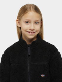 Кофта Dickies Mount Hope Fleece модель DK0A4Z3TBLK1 Фото