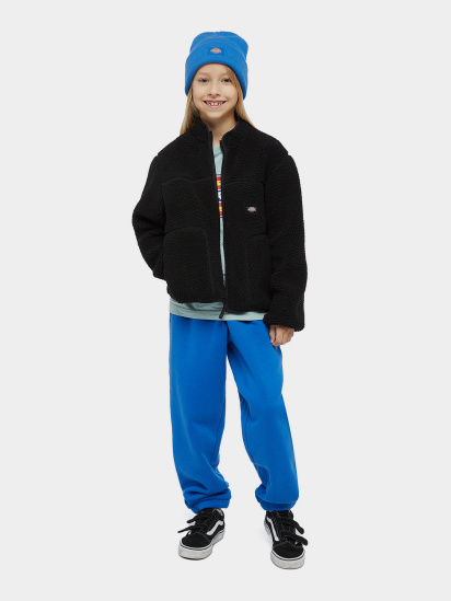 Кофта Dickies Mount Hope Fleece модель DK0A4Z3TBLK1 — фото 4 - INTERTOP