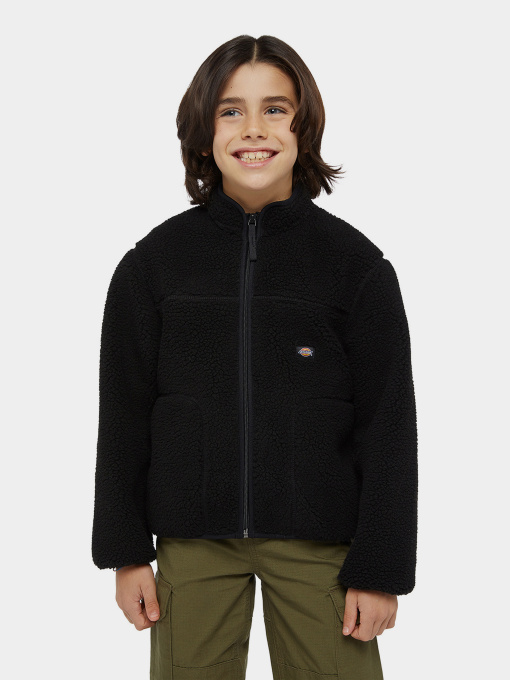 Худі та світшоти Dickies Mount Hope Fleece модель DK0A4Z3TBLK1 Фото