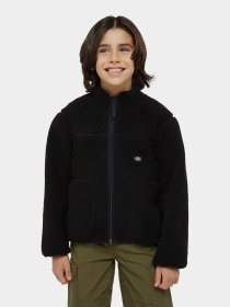 Худі та світшоти Dickies Mount Hope Fleece модель DK0A4Z3TBLK1 Фото