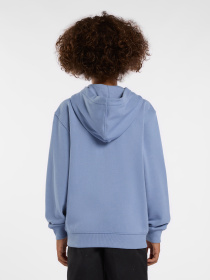 Кофта Dickies Terry Full Zip Модель DK0A4Z6WK371 Фото