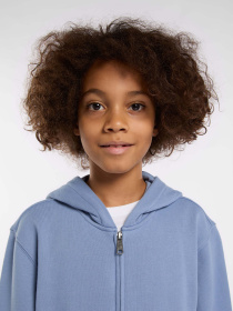 Кофта Dickies Terry Full Zip Модель DK0A4Z6WK371 Фото