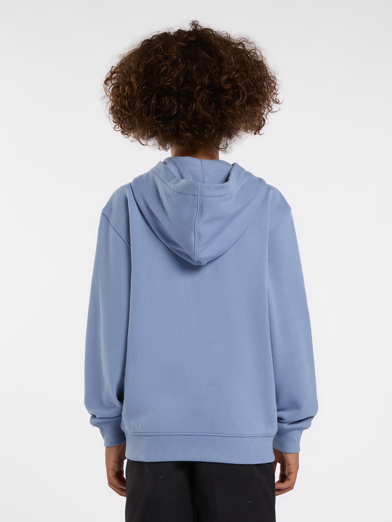 Кофта Dickies Terry Full Zip модель DK0A4Z6WK371 Фото